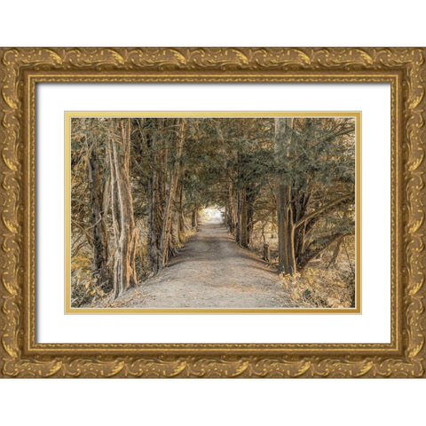 Autumn Forest Gold Ornate Wood Framed Art Print with Double Matting by Frank, Assaf