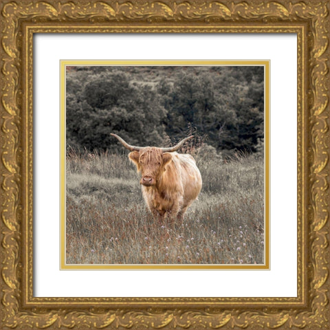 Highland Cow I Gold Ornate Wood Framed Art Print with Double Matting by Frank, Assaf