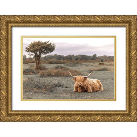 Highland Cow II Gold Ornate Wood Framed Art Print with Double Matting by Frank, Assaf