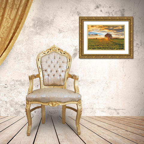 After the Storm Burr Oak Gold Ornate Wood Framed Art Print with Double Matting by Howarth, Gail