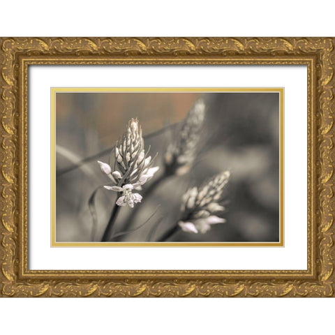 Up Close Gold Ornate Wood Framed Art Print with Double Matting by Frank, Assaf