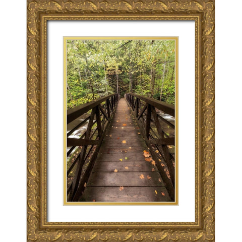 Autumns Bridge Gold Ornate Wood Framed Art Print with Double Matting by Burt, D.