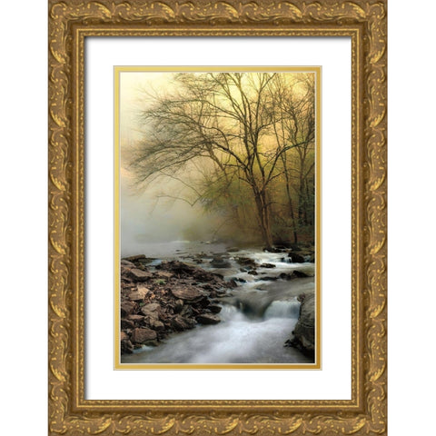 One Spring Morning Gold Ornate Wood Framed Art Print with Double Matting by Burt, D.