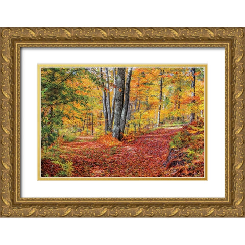 Full Path Gold Ornate Wood Framed Art Print with Double Matting by Howarth, Gail