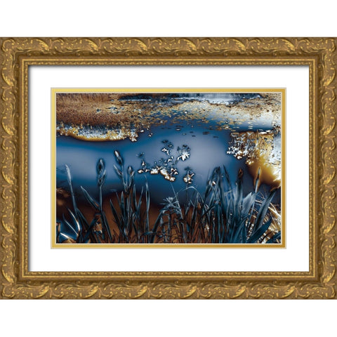 Lentic Dream I Gold Ornate Wood Framed Art Print with Double Matting by Hoh, Roy