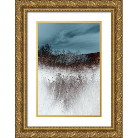 Lentic Dream II Gold Ornate Wood Framed Art Print with Double Matting by Hoh, Roy