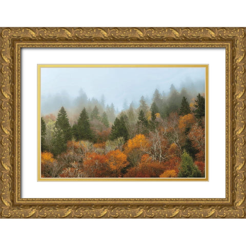 Autumn Mountain Gold Ornate Wood Framed Art Print with Double Matting by Burt, D.