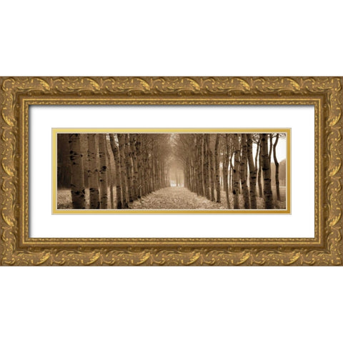 The Shimmering Forest Gold Ornate Wood Framed Art Print with Double Matting by Ross, Heather