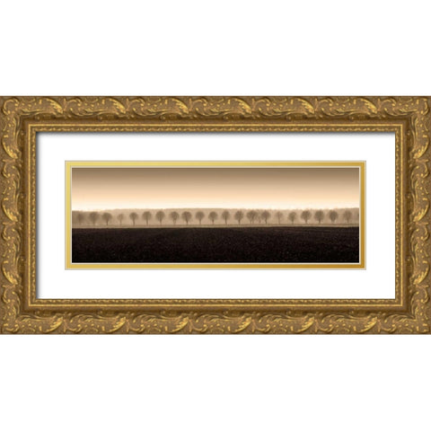 Dappled Morning Fields Gold Ornate Wood Framed Art Print with Double Matting by Ross, Heather