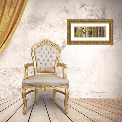 White Forest Standing Gold Ornate Wood Framed Art Print with Double Matting by Ross, Heather