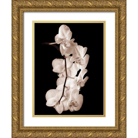 Orchid Dance I Gold Ornate Wood Framed Art Print with Double Matting by Rehner, John