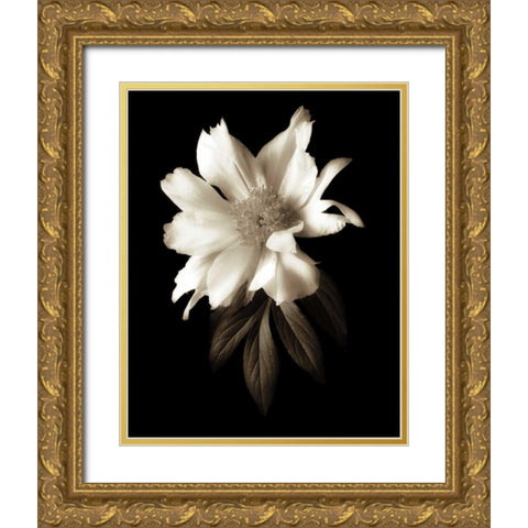 Portrait in White I Gold Ornate Wood Framed Art Print with Double Matting by Rehner, John