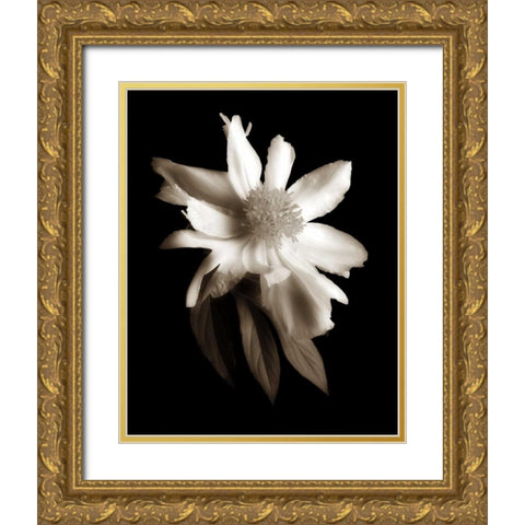 Portrait in White II Gold Ornate Wood Framed Art Print with Double Matting by Rehner, John