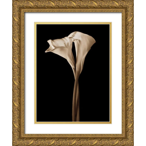 The Embrace Gold Ornate Wood Framed Art Print with Double Matting by Rehner, John