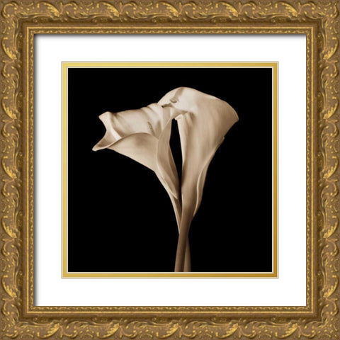 The Embrace Gold Ornate Wood Framed Art Print with Double Matting by Rehner, John
