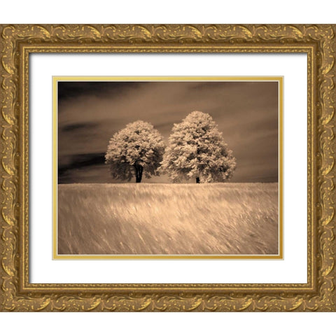 Together and Alone I Gold Ornate Wood Framed Art Print with Double Matting by Szilagyi, Ily