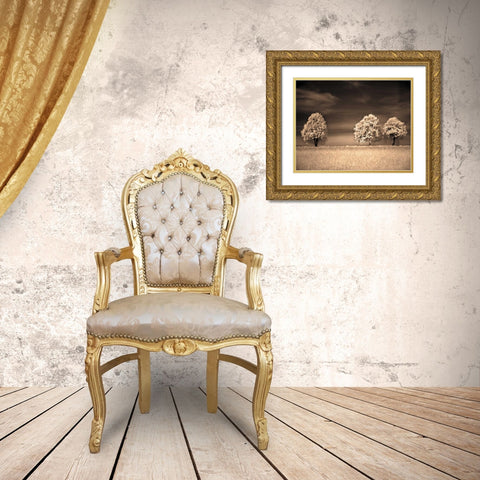 Together and Alone II Gold Ornate Wood Framed Art Print with Double Matting by Szilagyi, Ily