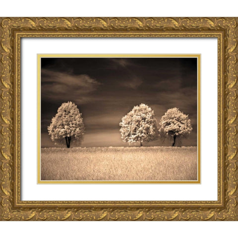 Together and Alone II Gold Ornate Wood Framed Art Print with Double Matting by Szilagyi, Ily