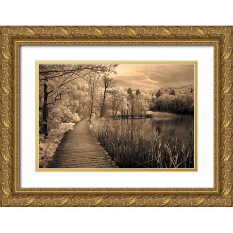 Take My Lead II Gold Ornate Wood Framed Art Print with Double Matting by Szilagyi, Ily