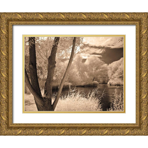 Lakefront View I Gold Ornate Wood Framed Art Print with Double Matting by Szilagyi, Ily