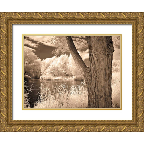 Lakefront View II Gold Ornate Wood Framed Art Print with Double Matting by Szilagyi, Ily