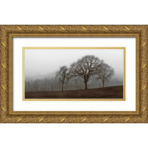 Autumn Fog Gold Ornate Wood Framed Art Print with Double Matting by Szilagyi, Ily