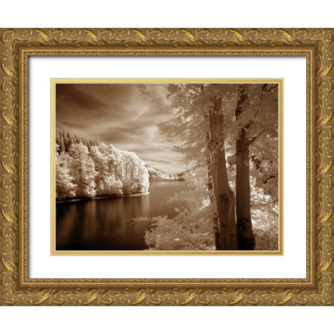 A View To Remember Gold Ornate Wood Framed Art Print with Double Matting by Szilagyi, Ily