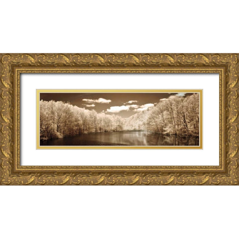 A Tranquil Journey Gold Ornate Wood Framed Art Print with Double Matting by Szilagyi, Ily