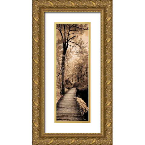 A Quiet Stroll I  Gold Ornate Wood Framed Art Print with Double Matting by Szilagyi, Ily