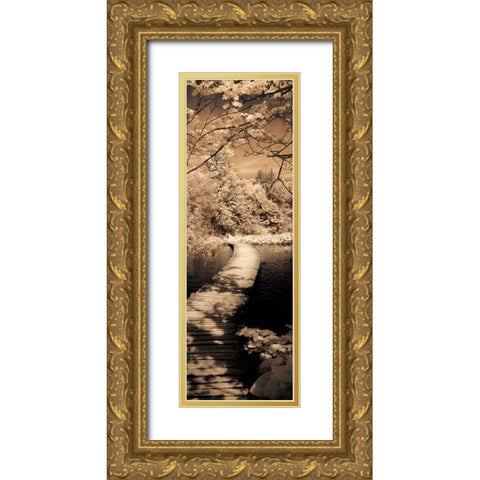 A Quiet Stroll II Gold Ornate Wood Framed Art Print with Double Matting by Szilagyi, Ily
