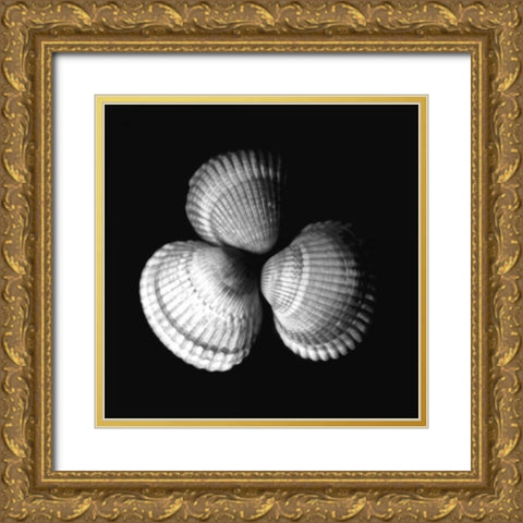 Shell Collection I Gold Ornate Wood Framed Art Print with Double Matting by Szilagyi, Ily