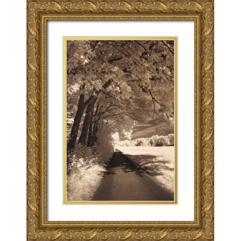 The Path Ahead Gold Ornate Wood Framed Art Print with Double Matting by Szilagyi, Ily