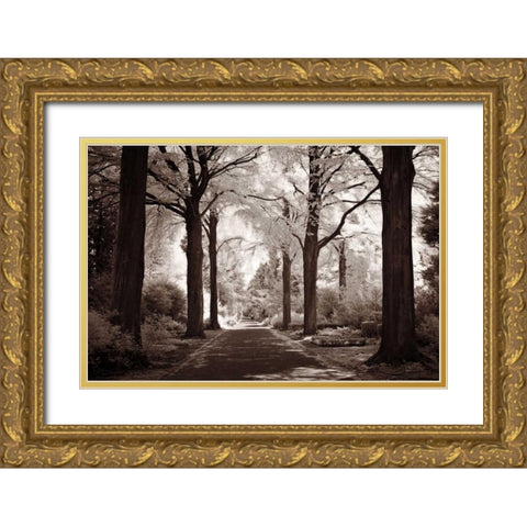 Arcadia Gold Ornate Wood Framed Art Print with Double Matting by Szilagyi, Ily
