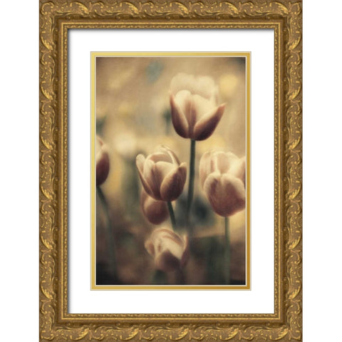 Tinted Tulips III Gold Ornate Wood Framed Art Print with Double Matting by Schrack, Thea