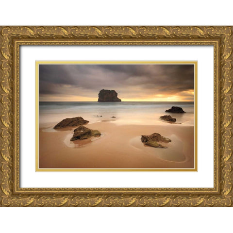 Ballota  Gold Ornate Wood Framed Art Print with Double Matting by Vera, Urtzi