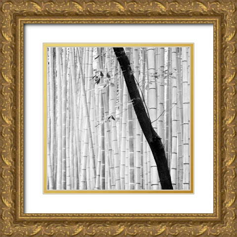 Bamboo Forest Gold Ornate Wood Framed Art Print with Double Matting by Manuel, Alexandre