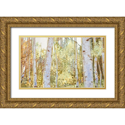 Summer Birch I  Gold Ornate Wood Framed Art Print with Double Matting by Del Rizzo, Anthony