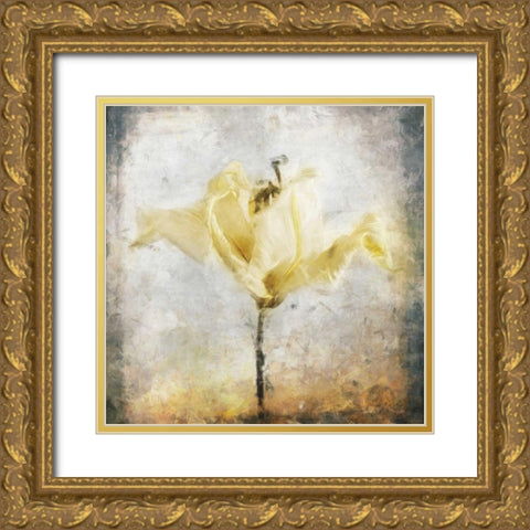 Sepia Bloom II Gold Ornate Wood Framed Art Print with Double Matting by Bingham, John