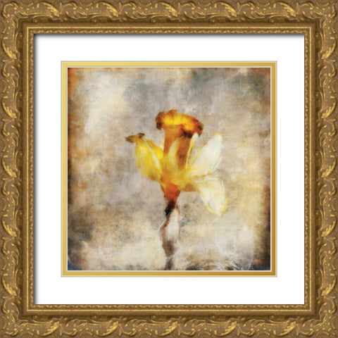Sepia Bloom III Gold Ornate Wood Framed Art Print with Double Matting by Bingham, John
