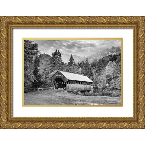 Bennett Bridge Gold Ornate Wood Framed Art Print with Double Matting by Berk