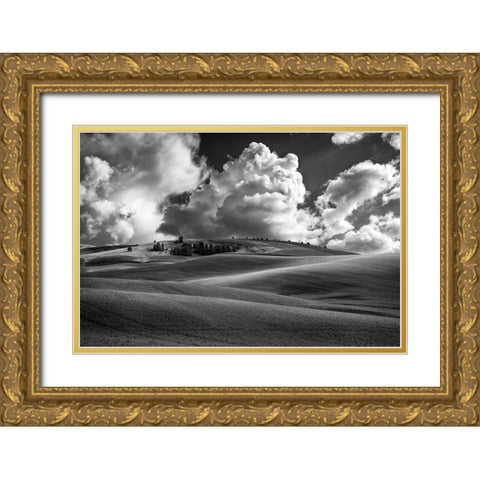 Palouse Bliss Gold Ornate Wood Framed Art Print with Double Matting by Berk