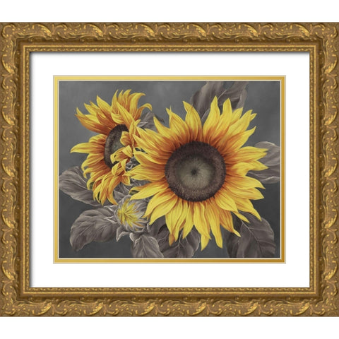 We are the sun III Gold Ornate Wood Framed Art Print with Double Matting by Broome, Marianne