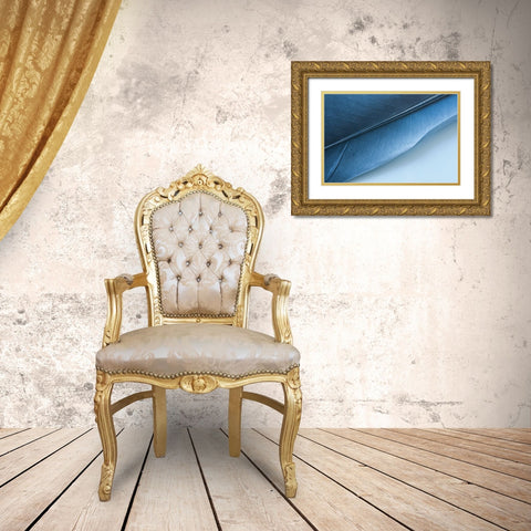 Blue Feather I Gold Ornate Wood Framed Art Print with Double Matting by Beavers, Jennifer
