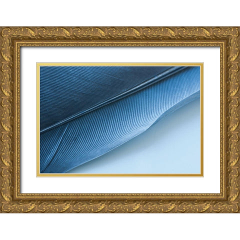 Blue Feather I Gold Ornate Wood Framed Art Print with Double Matting by Beavers, Jennifer
