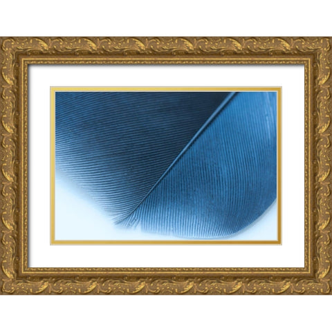 Blue Feather II Gold Ornate Wood Framed Art Print with Double Matting by Beavers, Jennifer