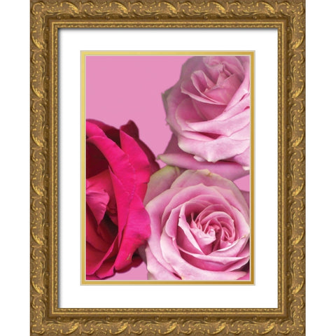 Pink Red Roses Gold Ornate Wood Framed Art Print with Double Matting by Diskin, Ceil