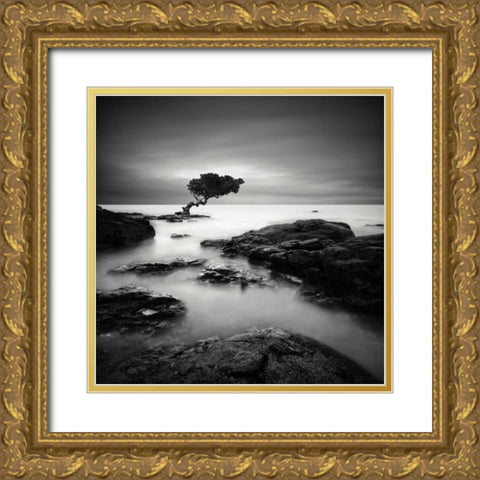 Tree of Temptation Gold Ornate Wood Framed Art Print with Double Matting by Cherry, Rob