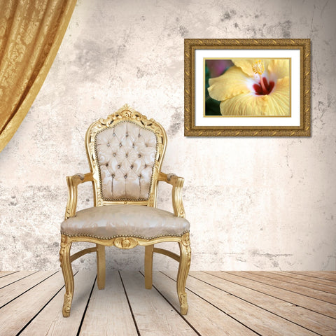 Hibiscus Gold Ornate Wood Framed Art Print with Double Matting by Connolly, Karin