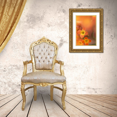 Orange Blossom II Gold Ornate Wood Framed Art Print with Double Matting by Connolly, Karin