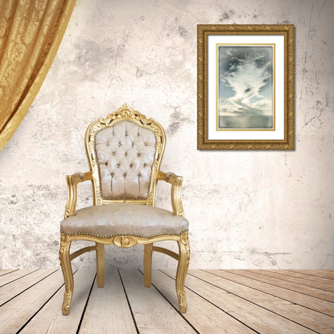 Sky Calling I  Gold Ornate Wood Framed Art Print with Double Matting by Connolly, Karin